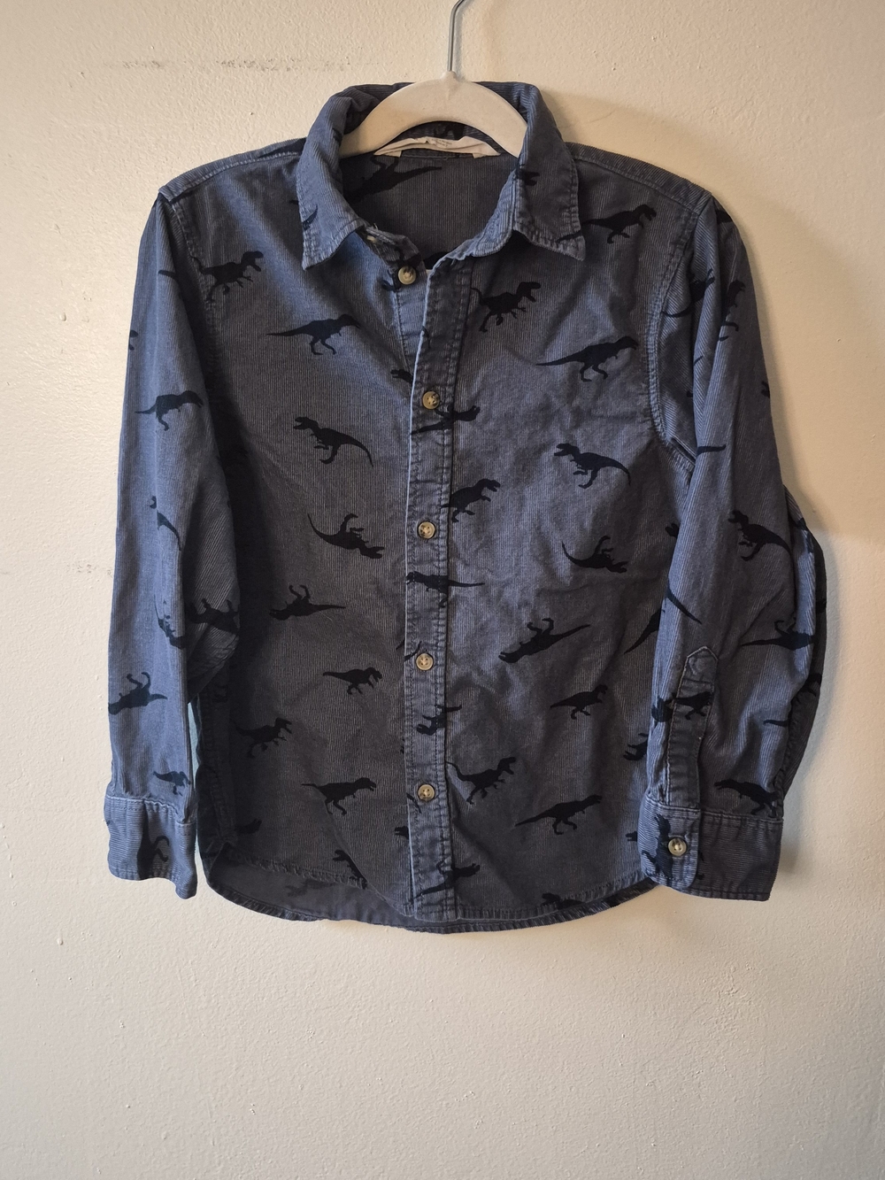 H&M Blue Long-Sleeve Button-Down Corduroy Shirt with Dino Print